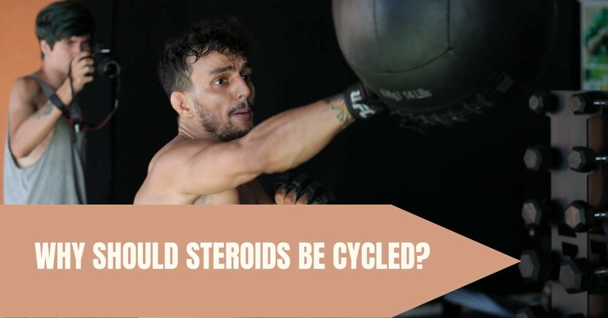 steroids be cycled