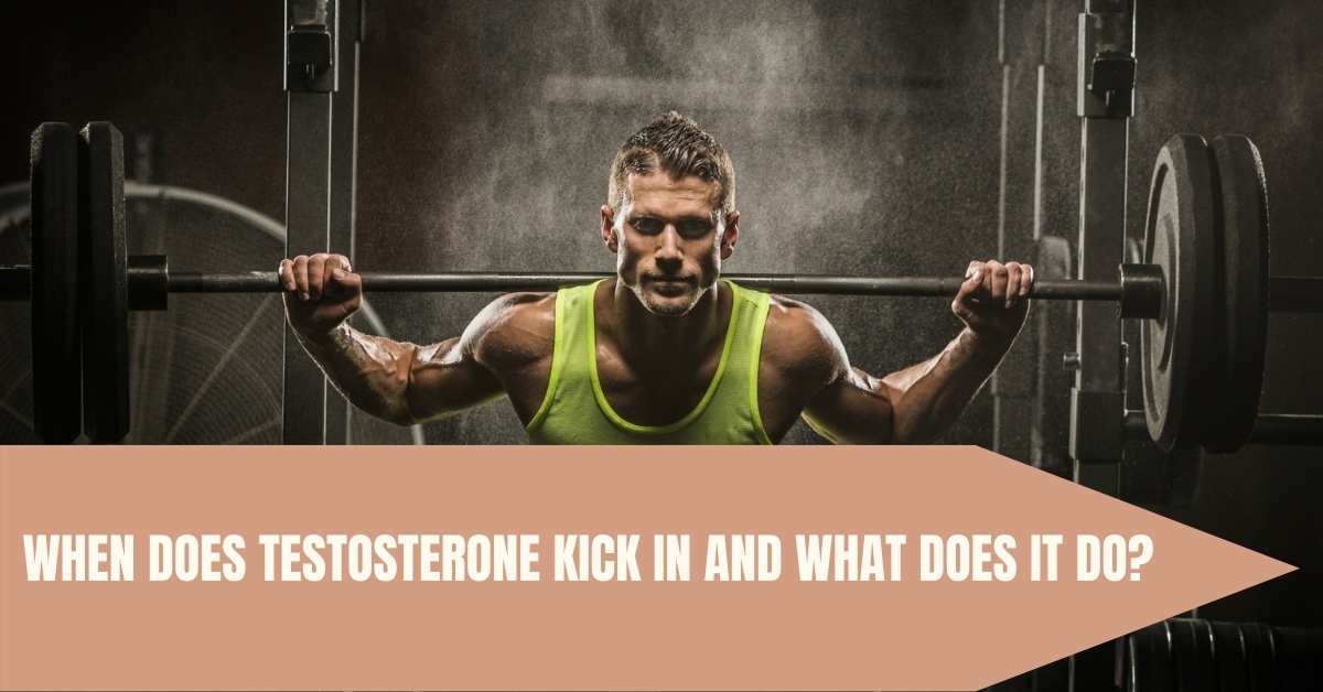 testosterone kick