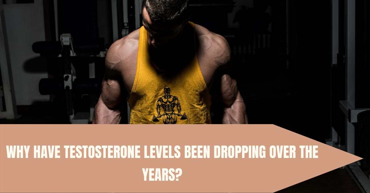 testosterone levels 